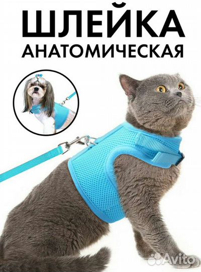 Шлейка для кота