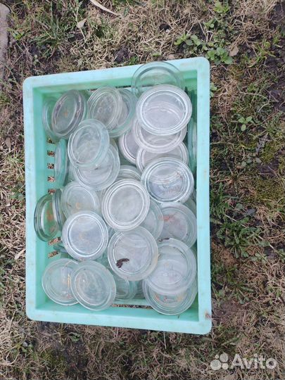 Стеклянные крышки от банок