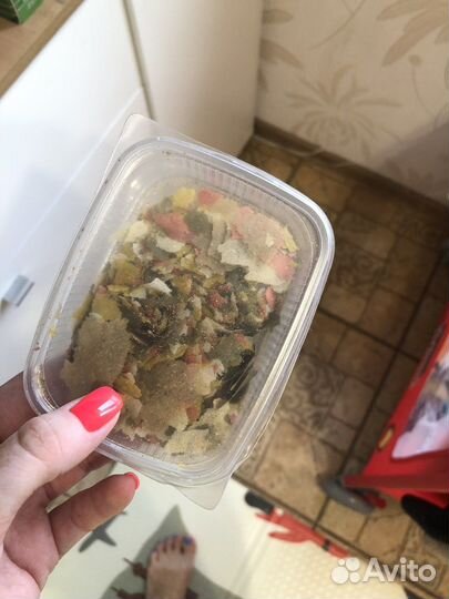 Автоматическая кормушка для рыб