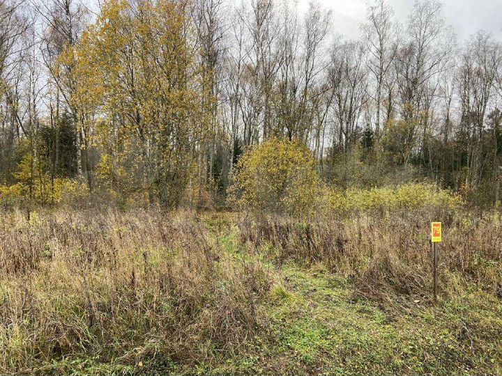 Участок 8,7 сот. (ИЖС)