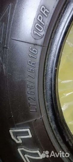 Accelera Beta 75 R16