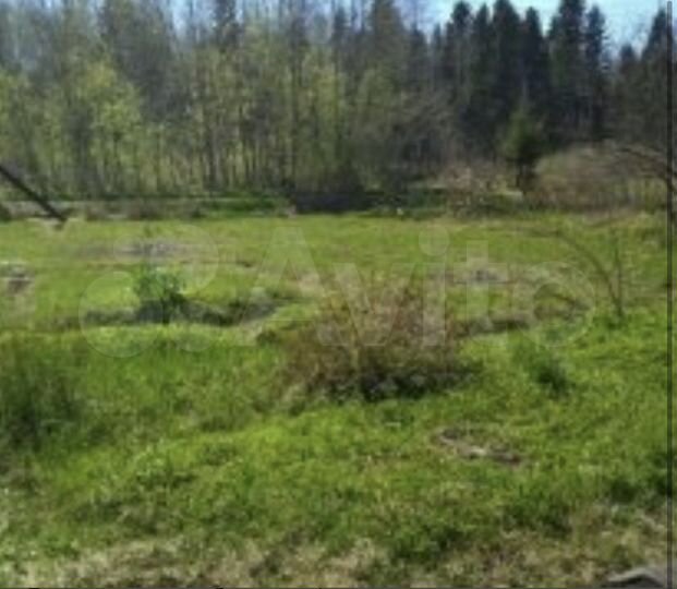 Участок 6 сот. (СНТ, ДНП)