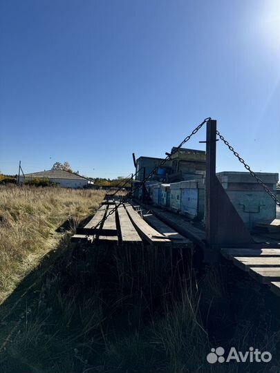 Продается пасека