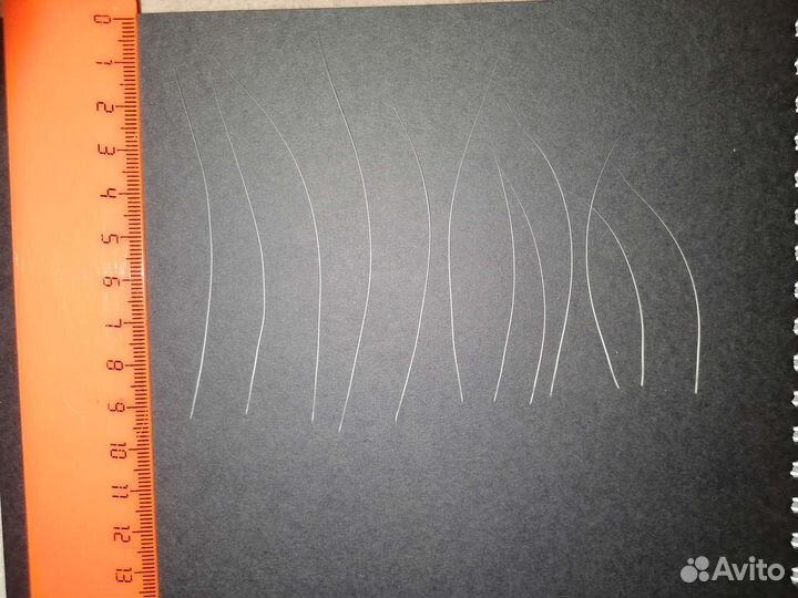 Кошачьи усы