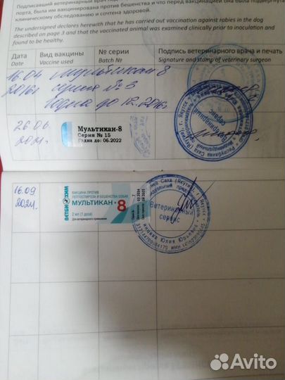 Отдам в добрые руки