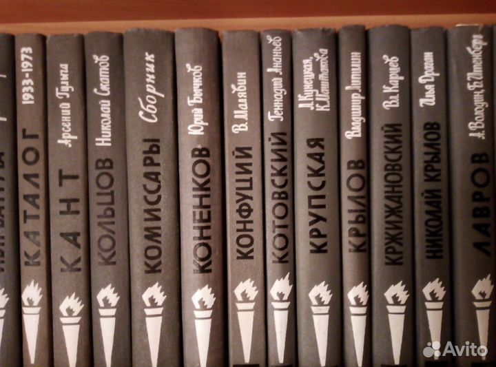 Жизнь замечательных людей (жзл) Книги