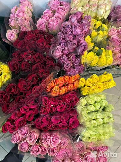 Красные розы