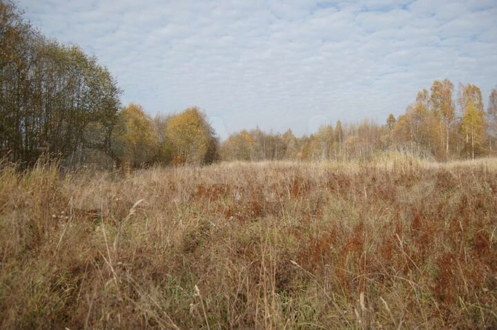 Участок 4,68 га (СНТ, ДНП)