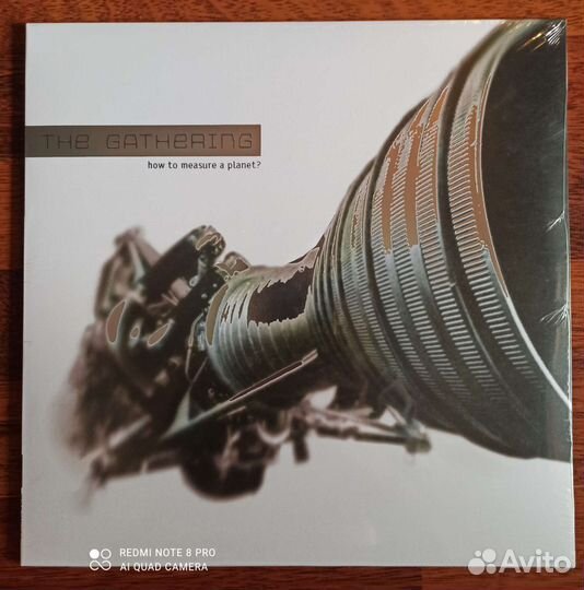 Пластинка The gathering