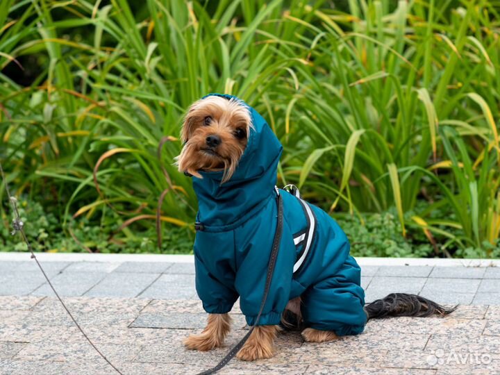 Зимний комбинезон для собак мелких пород