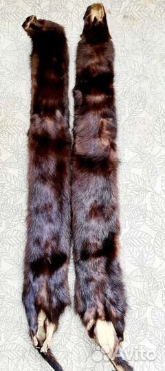 Шкурки норки