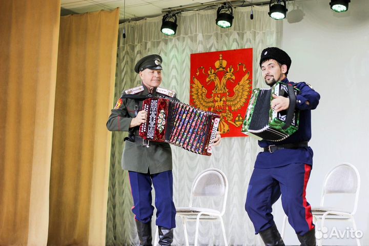 Поющий гармонист на свадьбу, юбилей, торжество