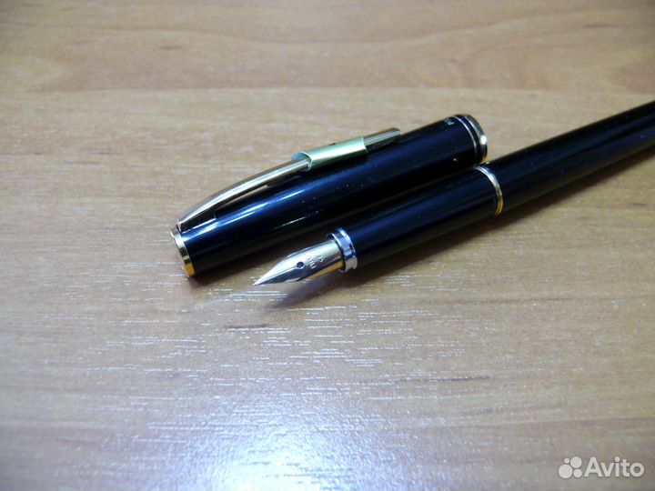 Перьевая ручка Pilot Young Rex (Fine)