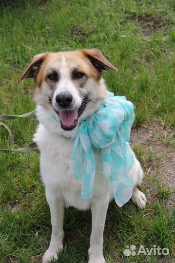 Горящее сердце светит