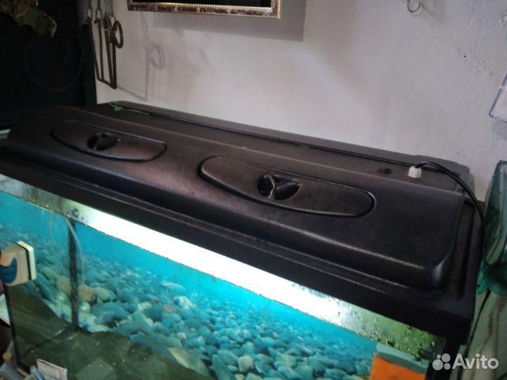 Красноухая черепаха с аквариумом