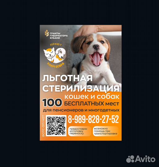 Графический дизайнер, веб-дизайнер