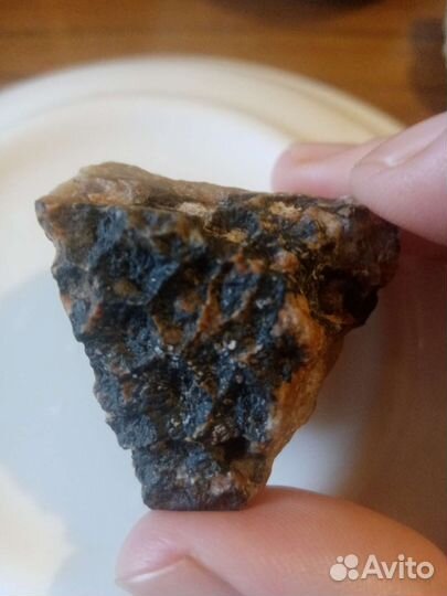 Окаменелости Хететес