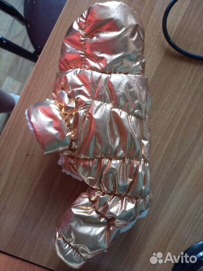 Вещи на той терьера