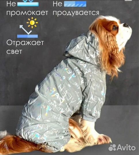 Комбинезон для собаки