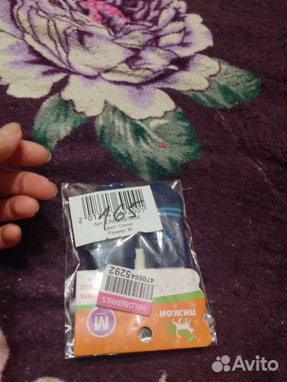 Носки для животных