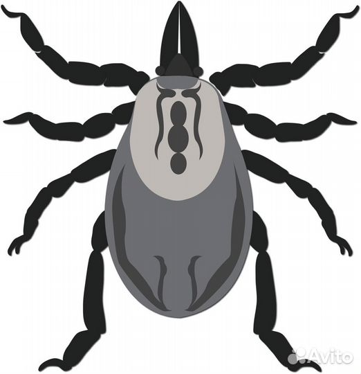 Обработка от клещей, тараканов,клопов и др