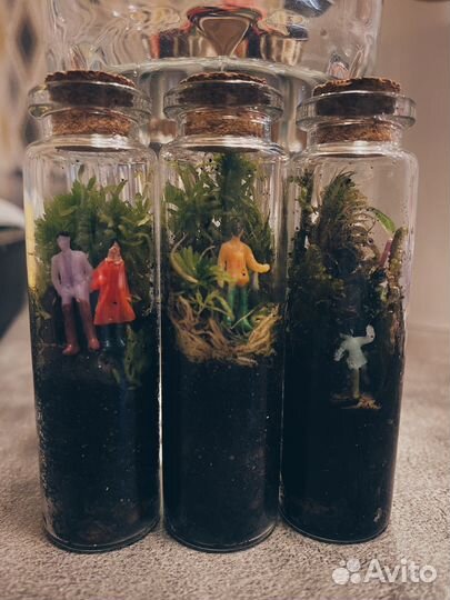 Экосистема в пробирке. Флорариум