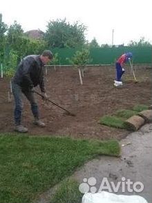 Газон от производителя