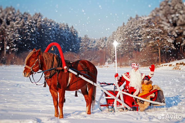 Дед Мороз и Снегурочка на ваш праздник