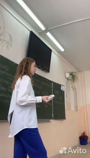 Репетитор по русскому языку и математике