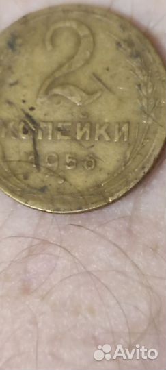 Монета