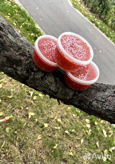 Красная икра кеты 2023г в наличии