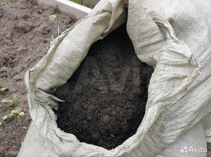 Навоз черназем