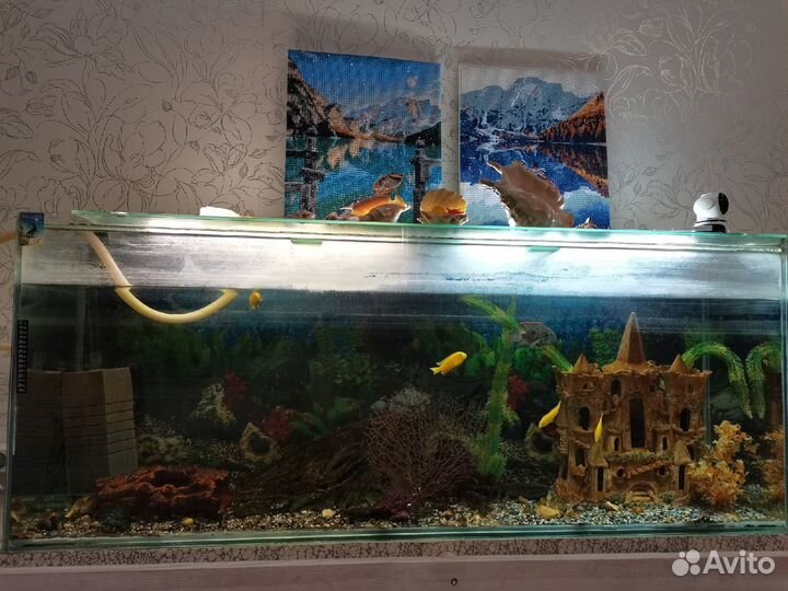 Продам аквариум