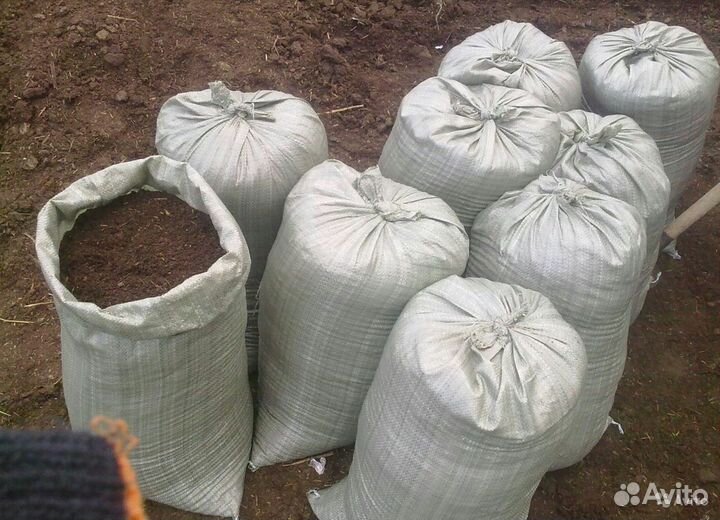 Куриный навоз