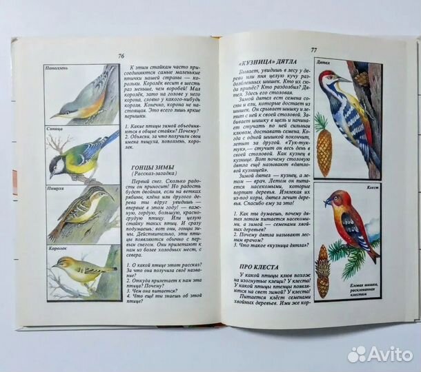 Плешаков Природа