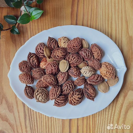 Персиковые косточки - Природные материалы