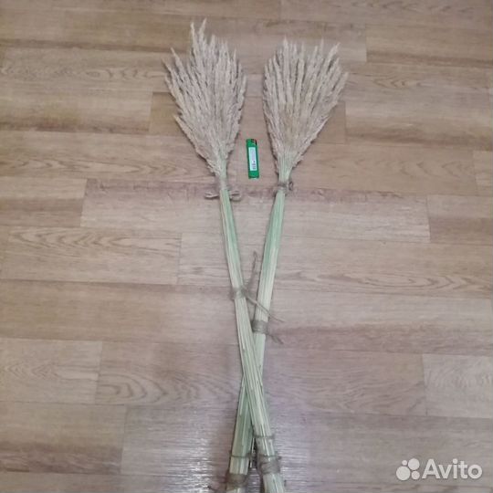 Сухоцвет Вейник