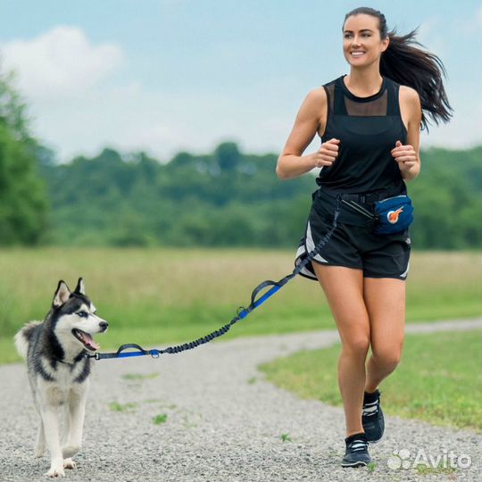 Поводки для бега с собакой, 2 амортизатора, +пояс