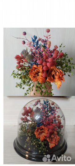 Флористика,сухоцветы,природный материал для подело