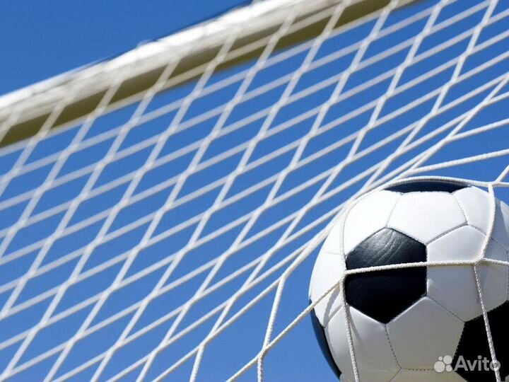 Сетка для ворот на заказ