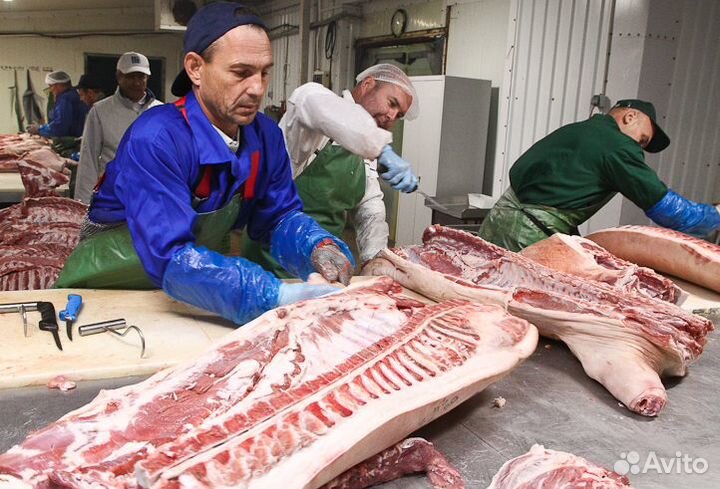 Готовый бизнес ищет займ, доход 24 тр/мес