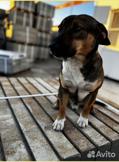 Тротуарная плитка от производителя от 120 м2