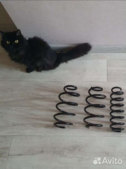 Пружины Skoda Rapid -50 технорессор