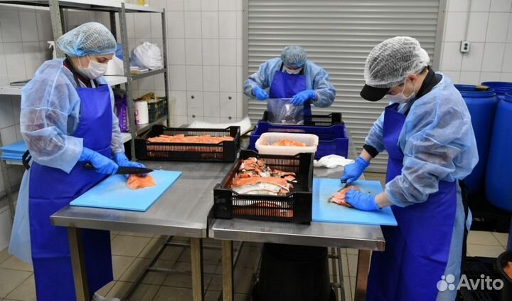 Рыбное производство