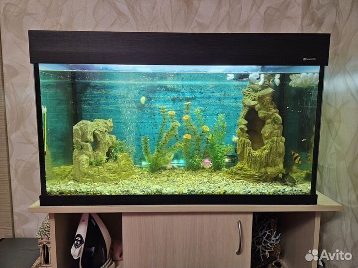 Аквариум с тумбой 120 литров +декор