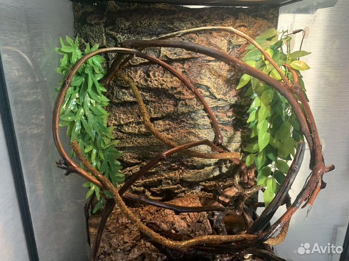 Террариум 60х45х90