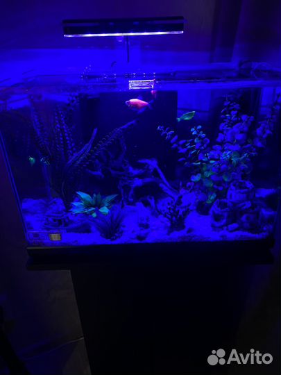 Аквариум с тумбой