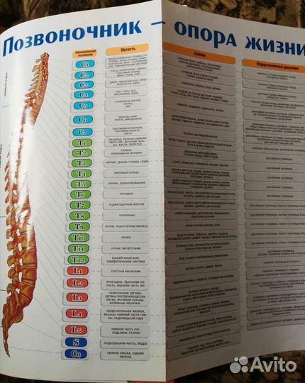 Практическое пособие для пользователей нуга бест