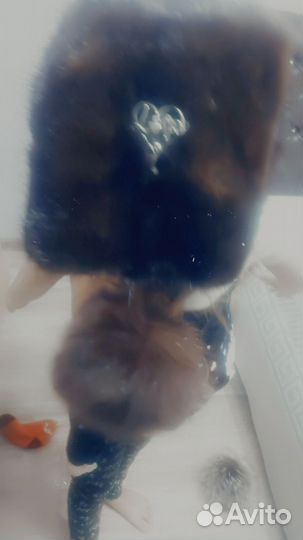 Шапка детская норка новая