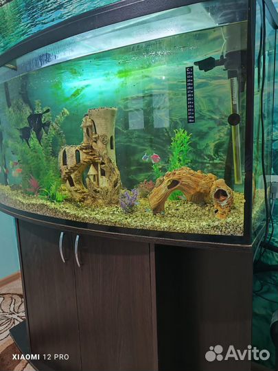 Аквариум 280 литров